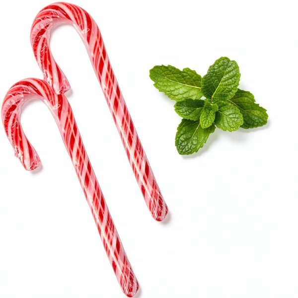 Holiday Peppermint Candy Canes by Sarah's Candy Factory-2