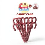 Holiday Peppermint Candy Canes by Sarah's Candy Factory-0